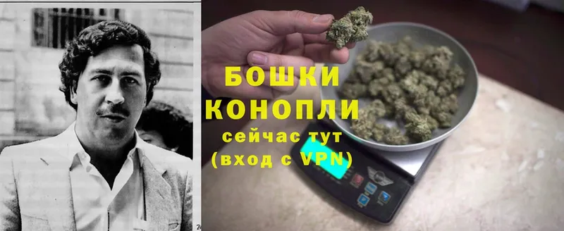 площадка формула  Бирюсинск  Шишки марихуана Ganja 